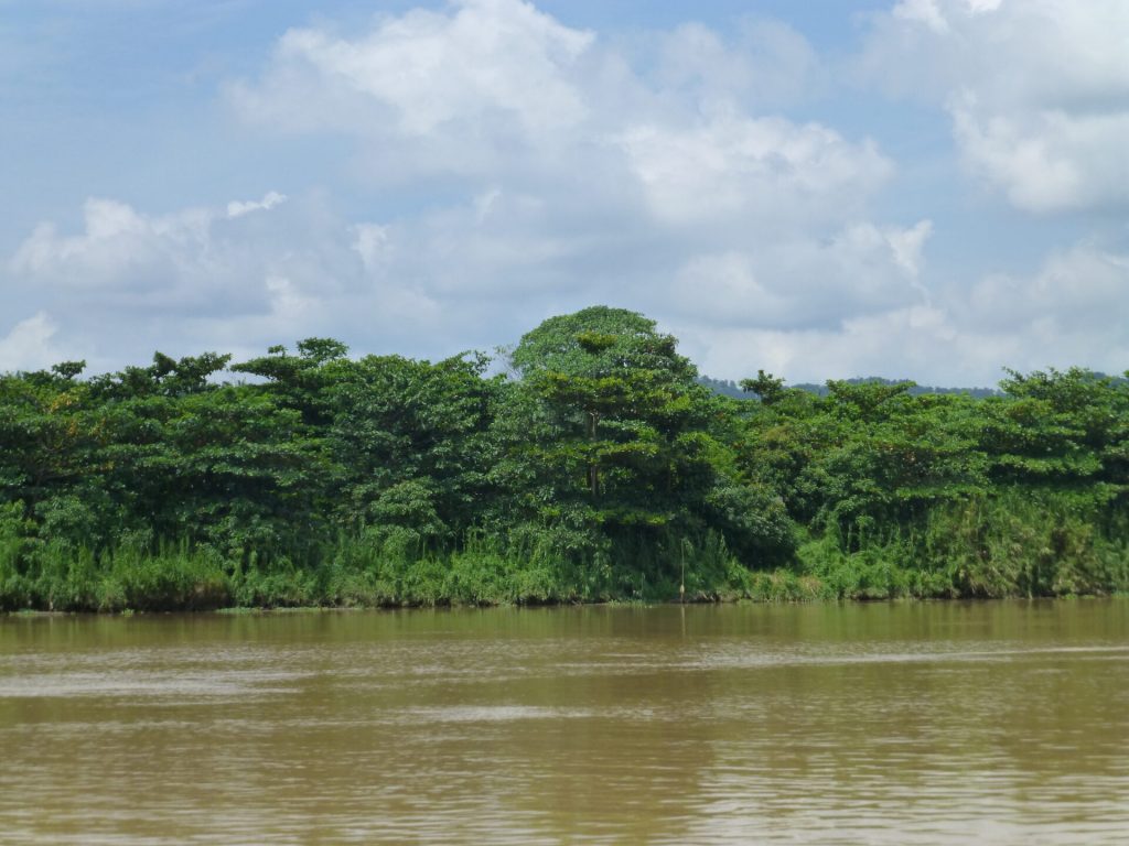 Keruak Corridor, Borneo